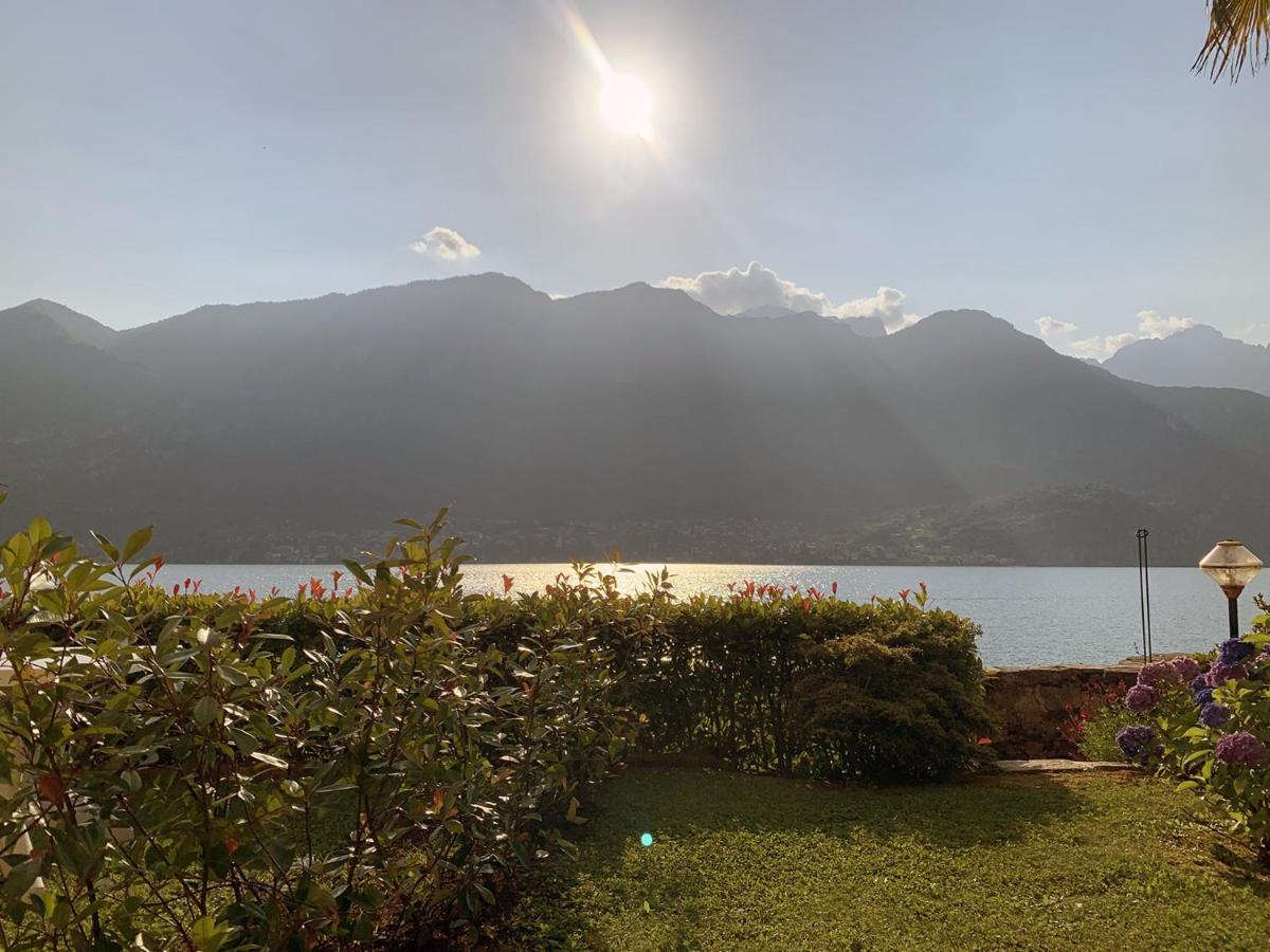 Appartement Terrace On The Lake à Oliveto Lario Extérieur photo